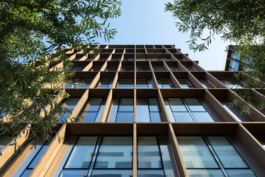 Tom Darmon Architecture