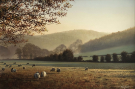 Tom Darmon Architecture