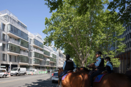 Tom Darmon Architecture