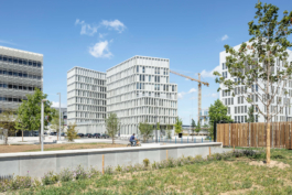 Tom Darmon Architecture