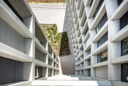 Tom Darmon Architecture