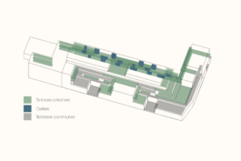 Tom Darmon Architecture
