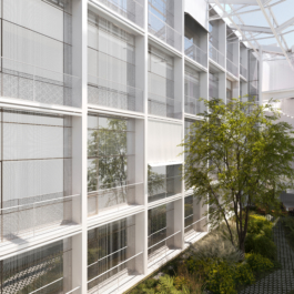 Tom Darmon Architecture