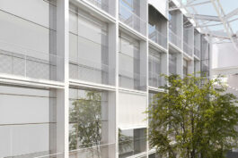 Tom Darmon Architecture