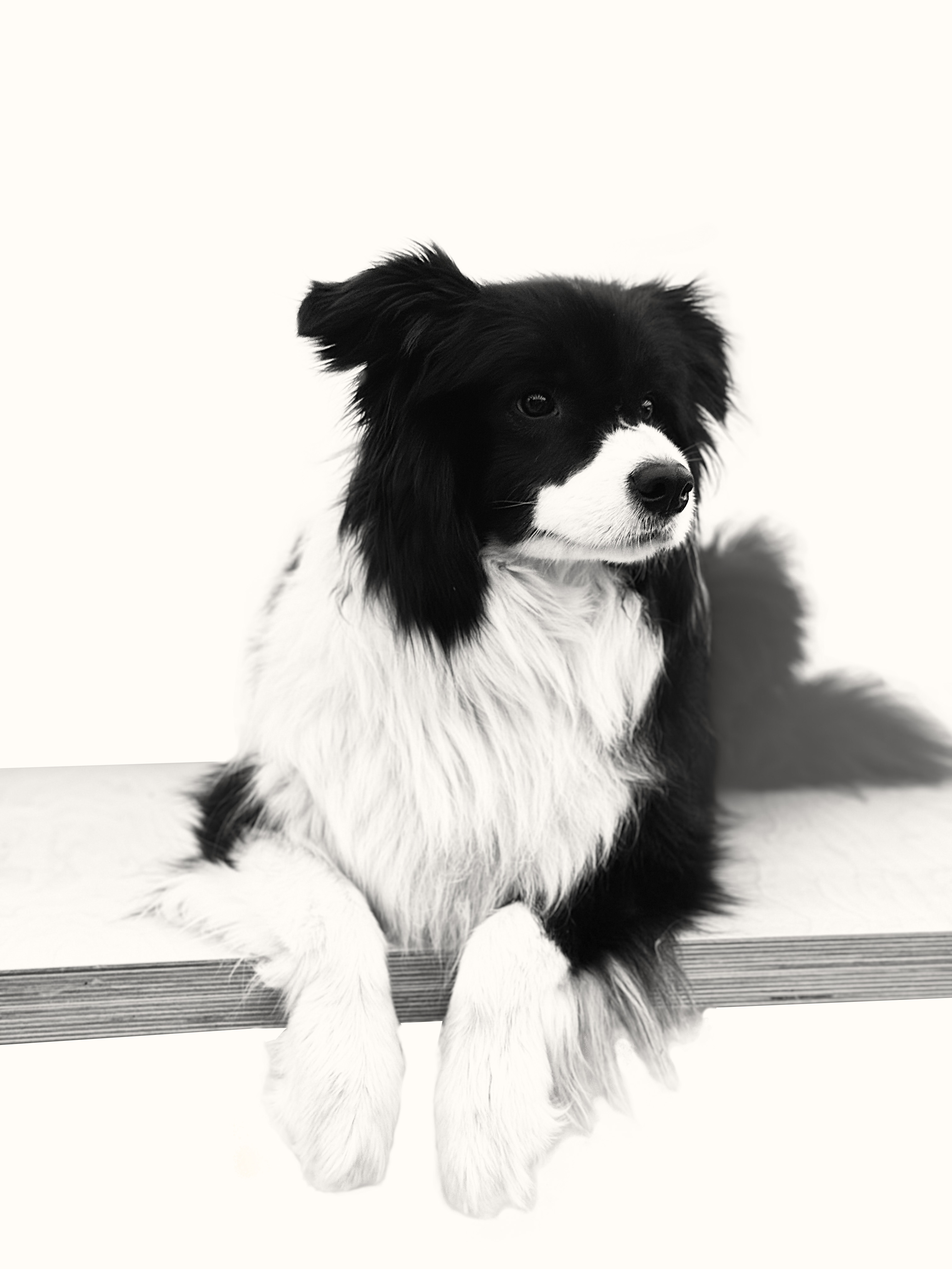 Tom Darmon Architecture