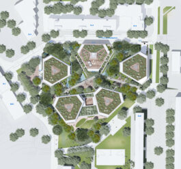 Tom Darmon Architecture